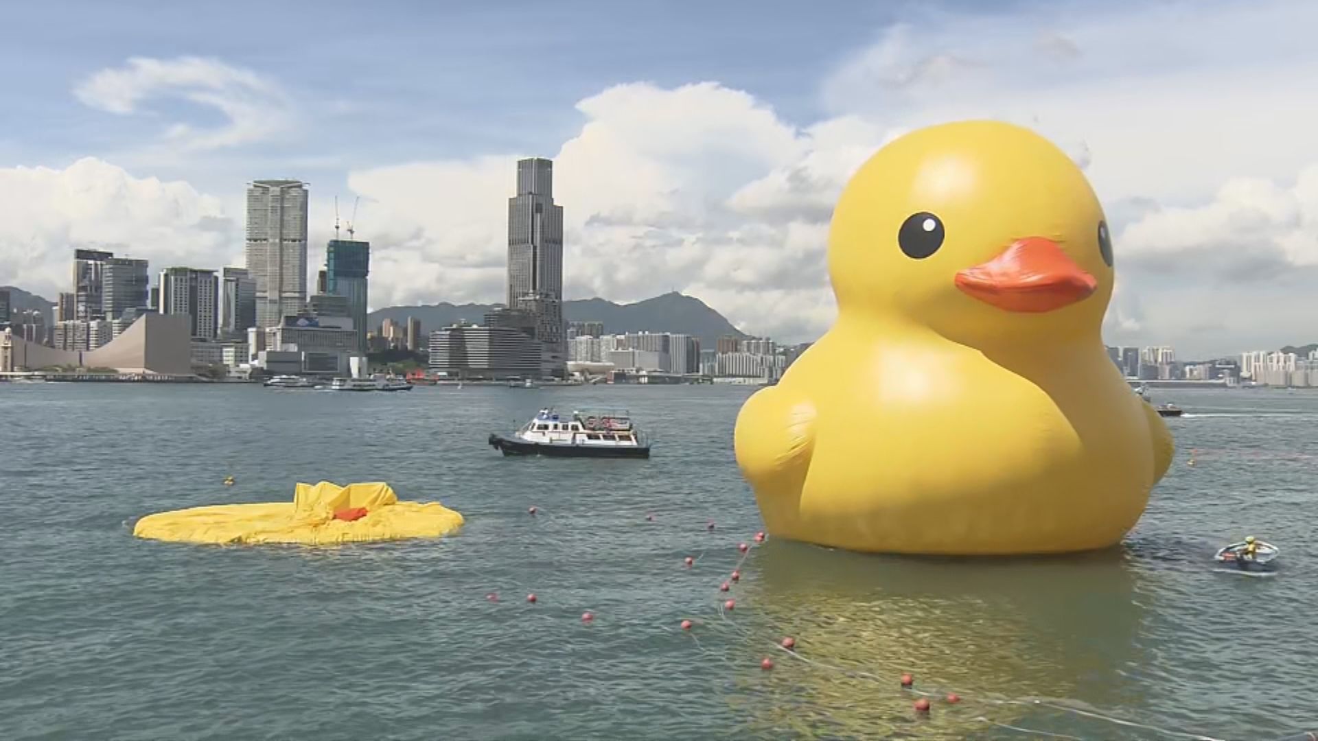 【直擊】兩黃色巨鴨其中一隻漏氣