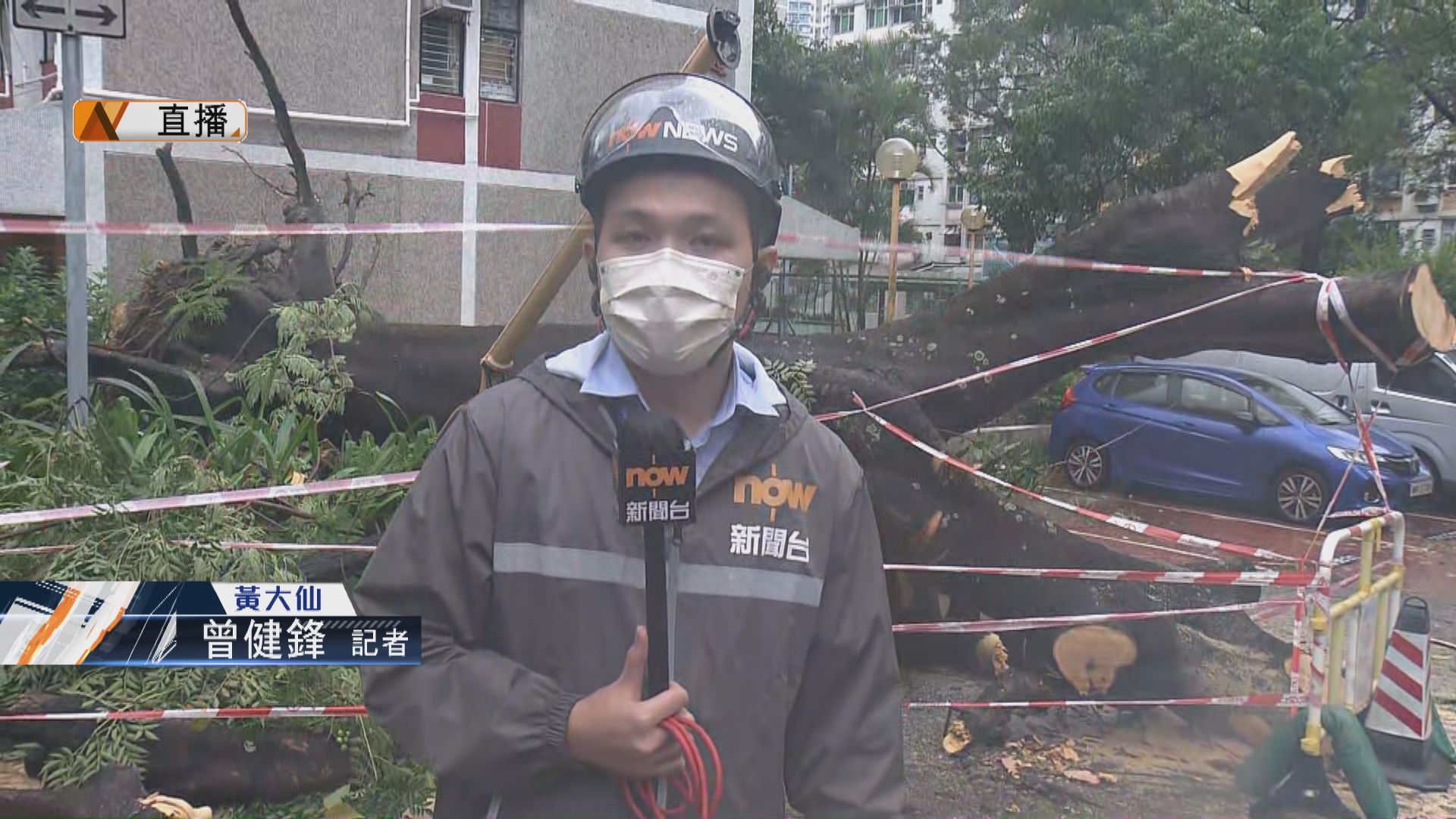 【圓規襲港‧現場報道】黃大仙東頭邨有塌樹波及三輛車　車主到場檢查損毀情況