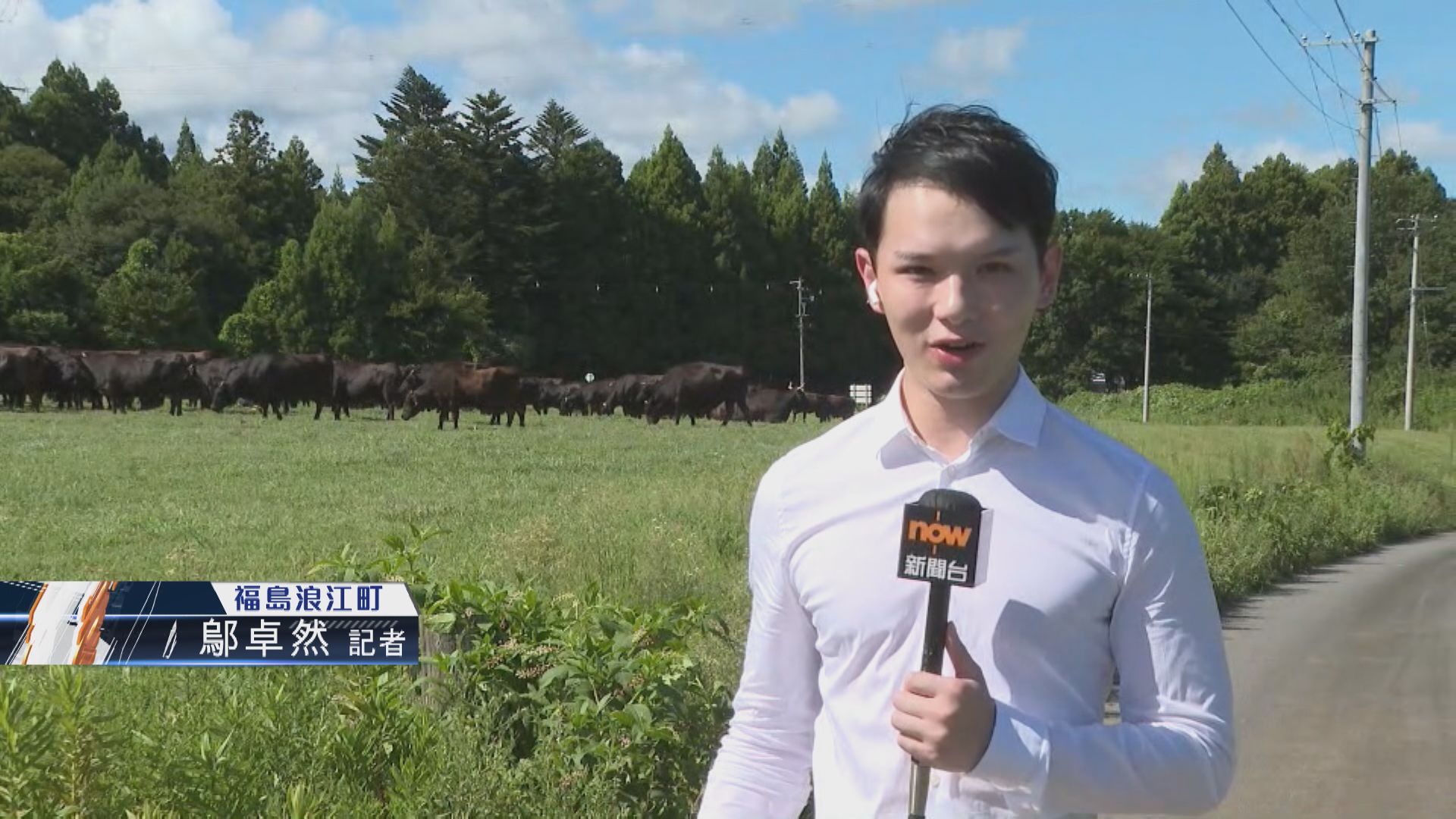 【記者直擊】福島浪江町「輻射牛」