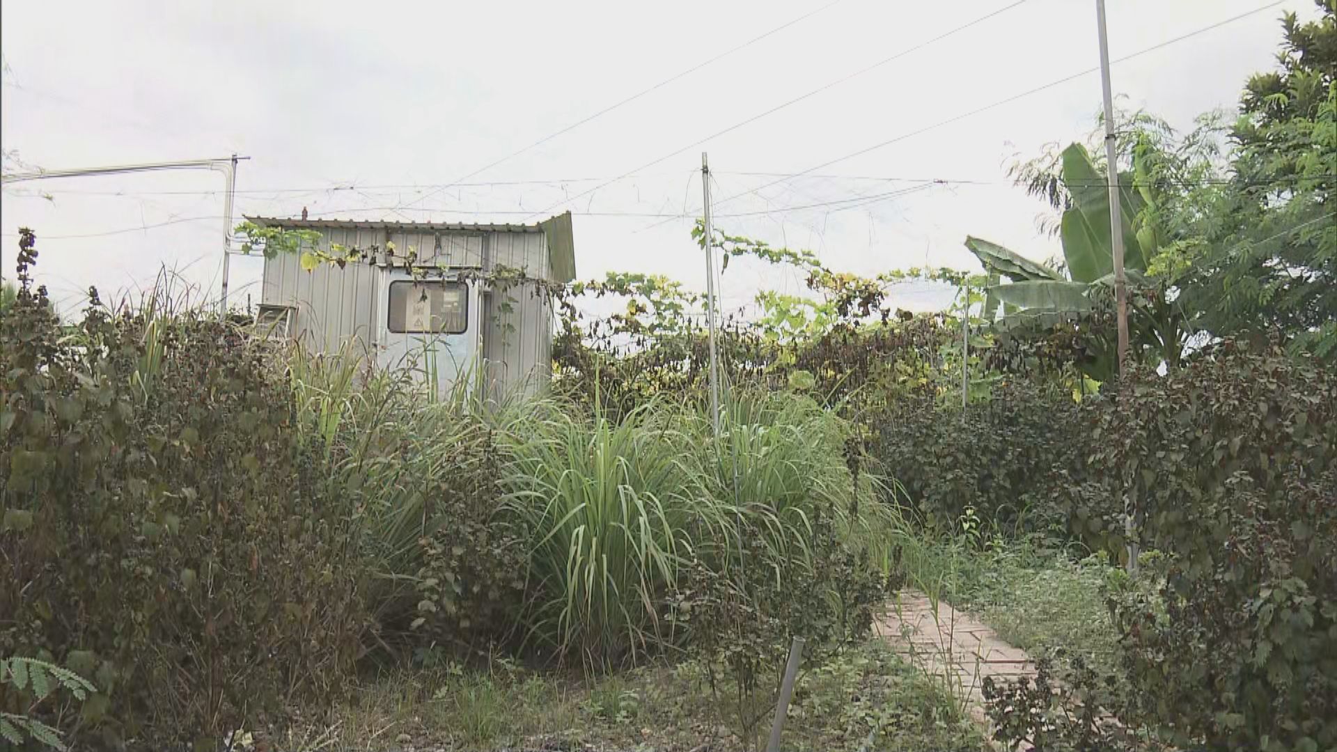 羅湖文錦渡納北部都會區　村民憂收地迫遷盼政府妥善安排