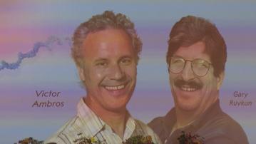 諾貝爾醫學獎由兩名研究小分子核糖核酸的美國學者奪得