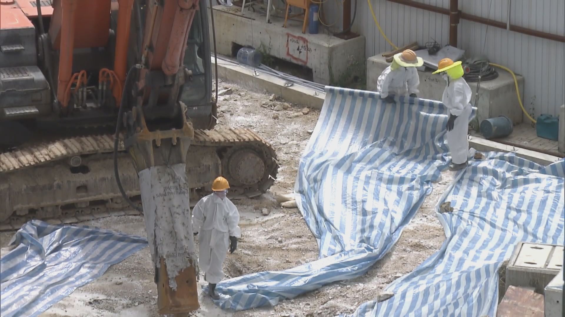 白田邨地盤驗出類鼻疽菌　當局鋪熟石灰殺滅