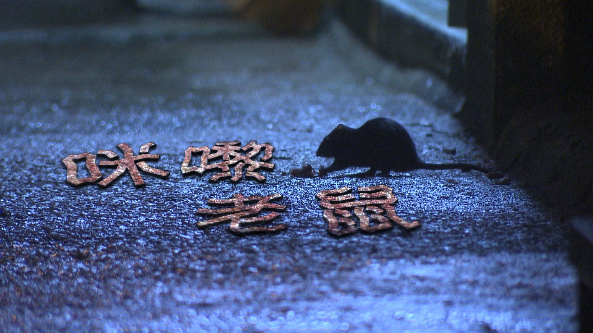 【經緯線】咪嚟老鼠（一）