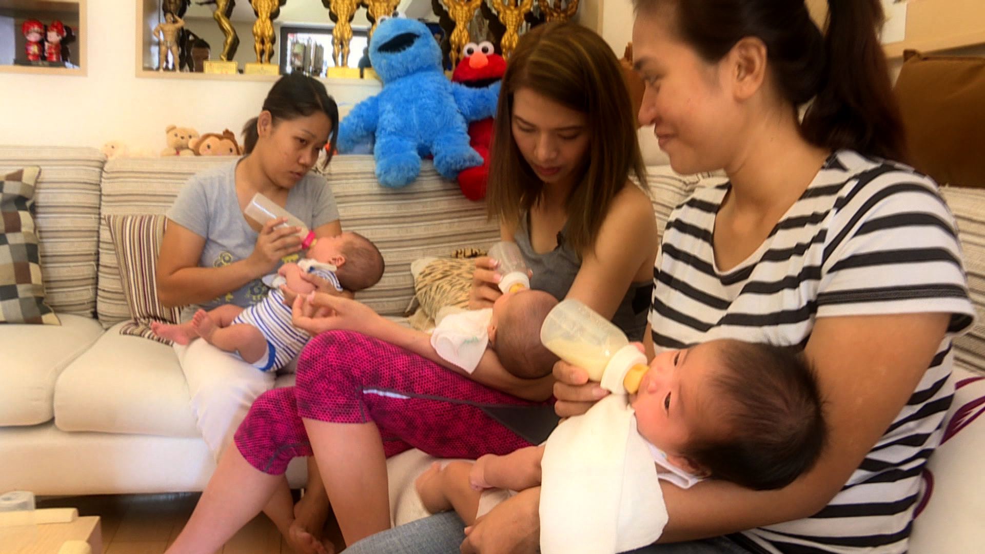 【經緯線】一年抱三(一)