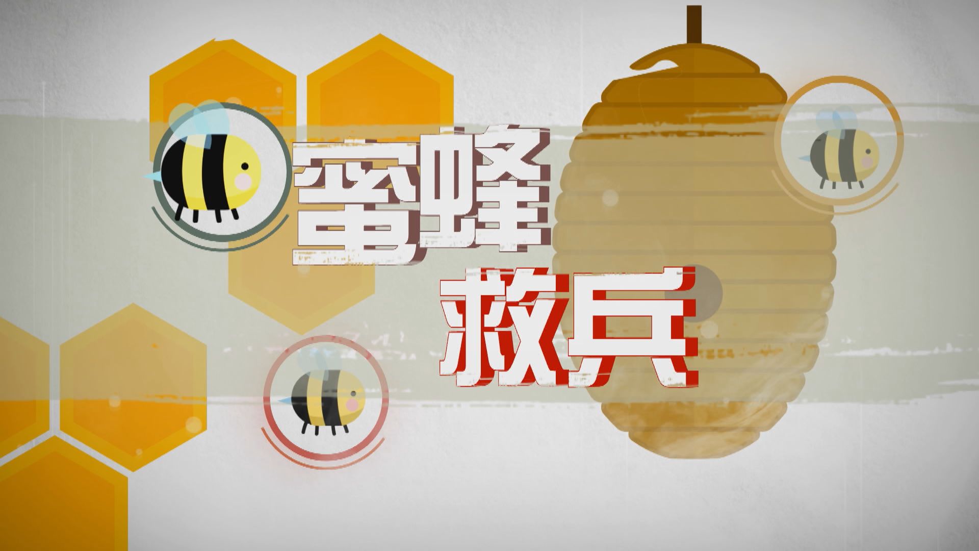 【新聞智庫】蜜蜂救兵