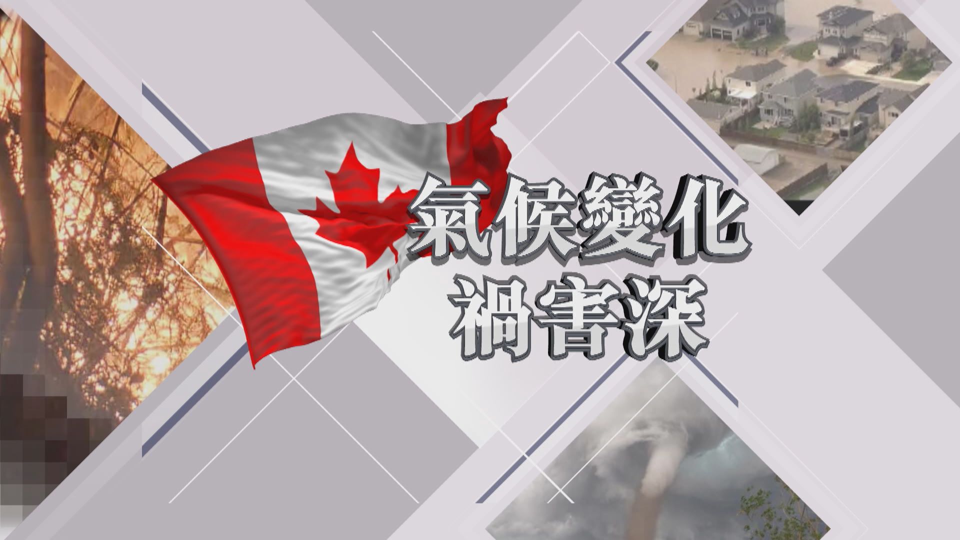 【新聞智庫】加拿大受氣候變化禍害深