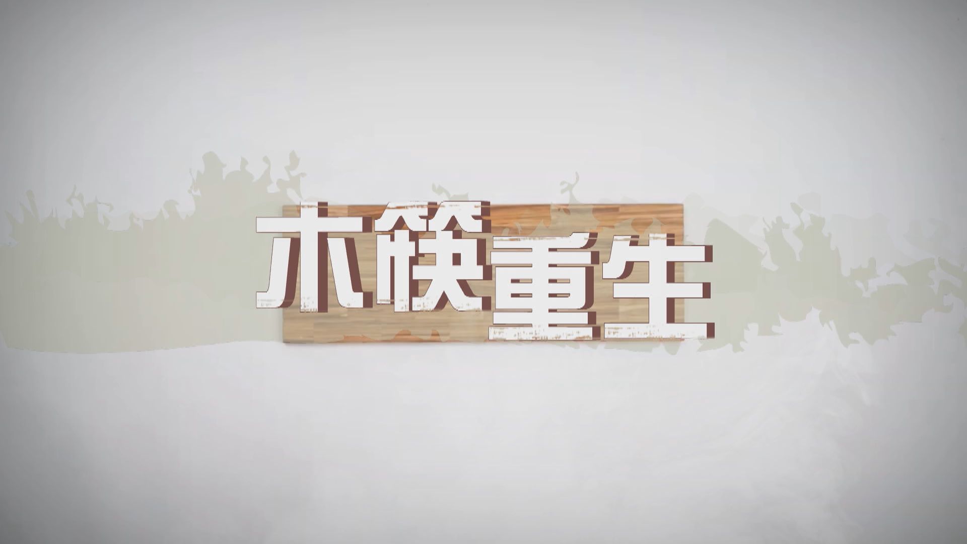 【新聞智庫】木筷重生