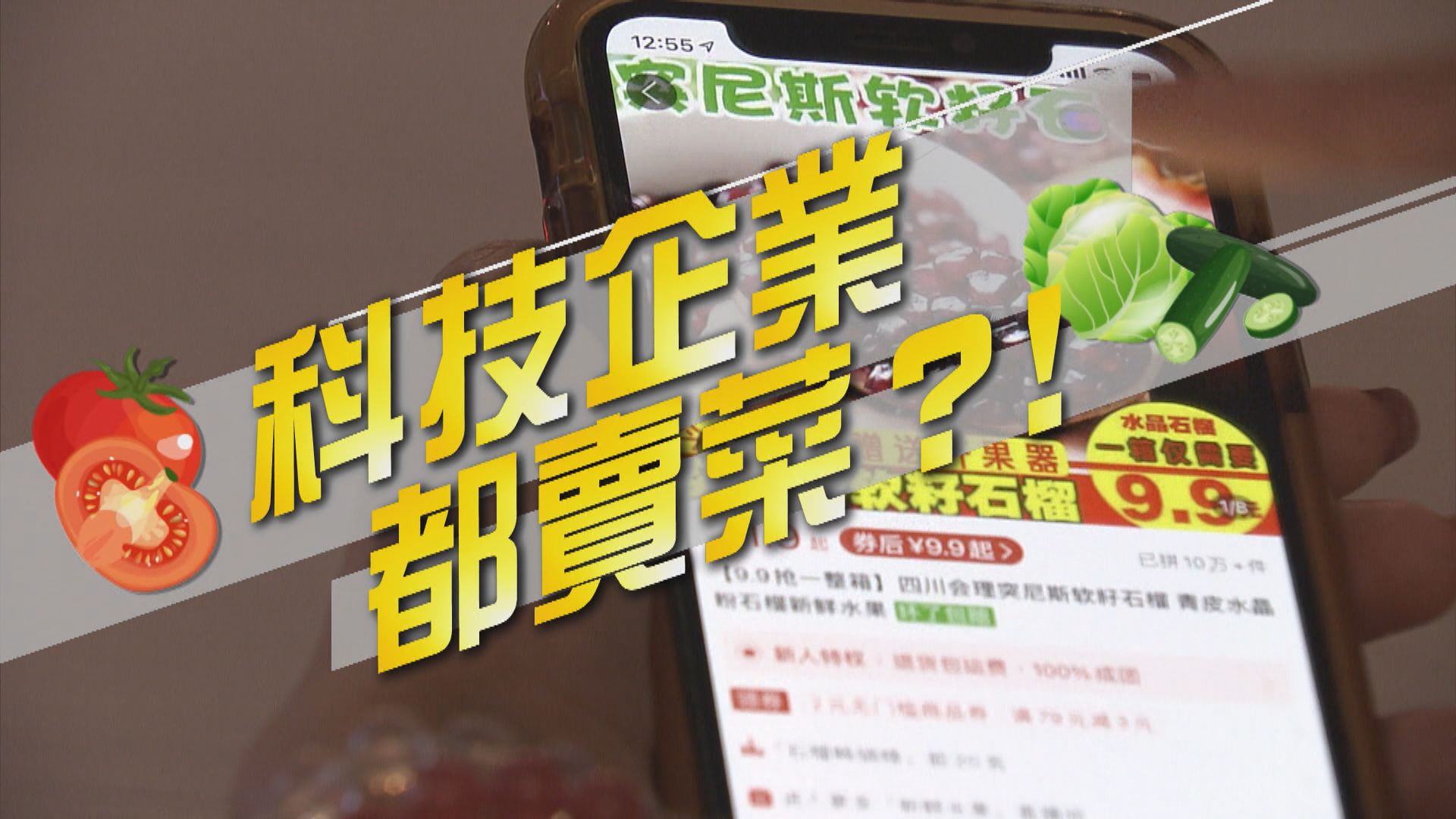 【新聞智庫】科技企業都賣菜？！