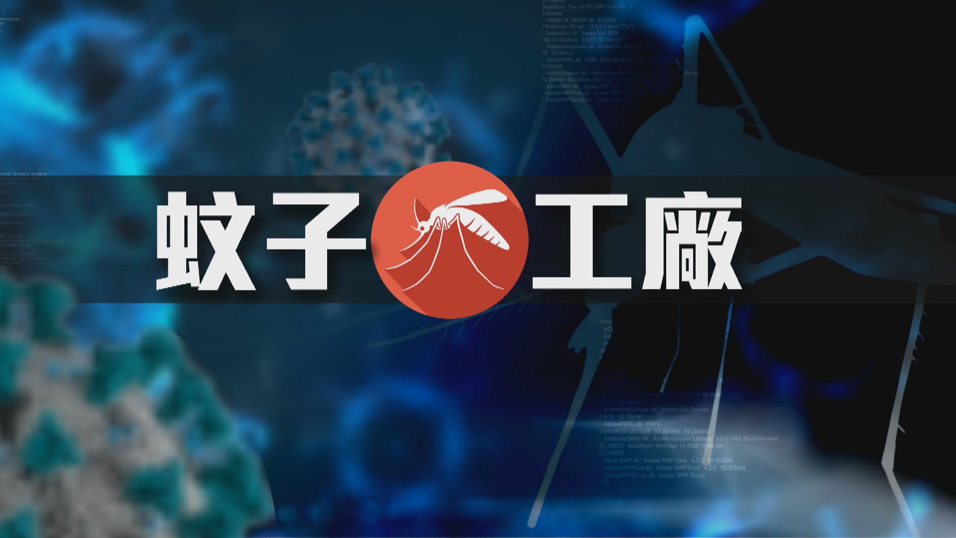【新聞智庫】蚊子工廠