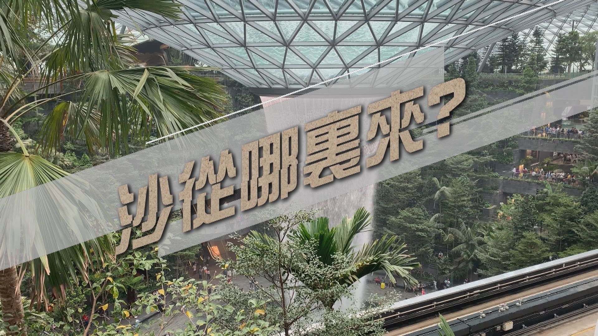 【新聞智庫】沙是地球上使用量第二高天然資源　到底沙從哪裏來？