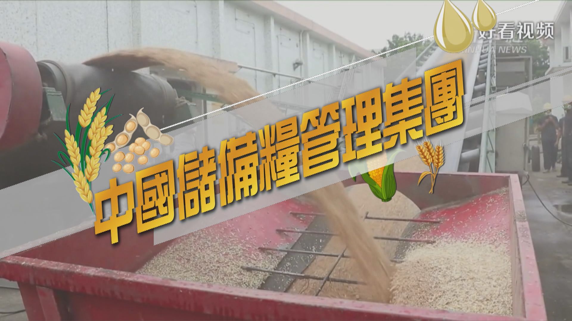 【新聞智庫】中國儲備糧管理集團