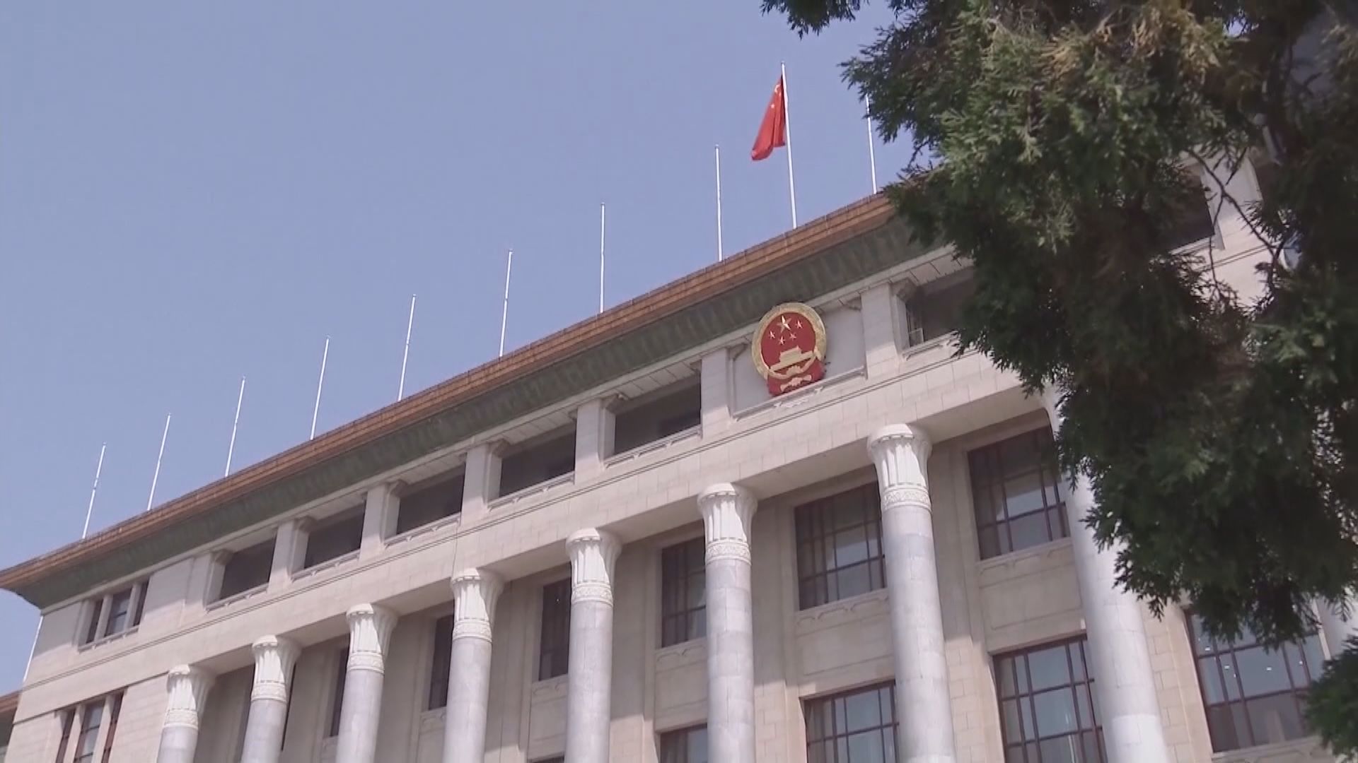 全國人大：須完善本港選舉制度　重新構建選委會