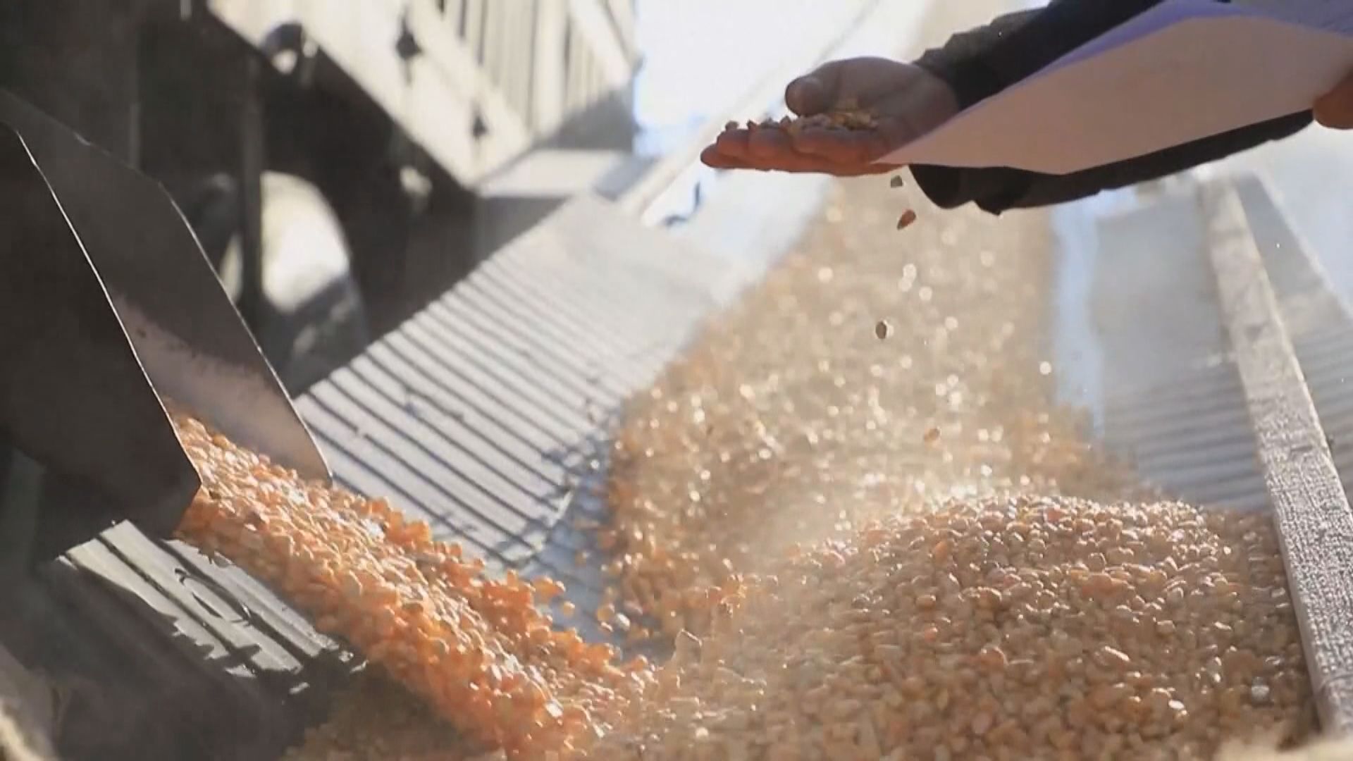 李強：加大力度保障民生擴大就業　加強群眾獲得感、幸福感和安全感