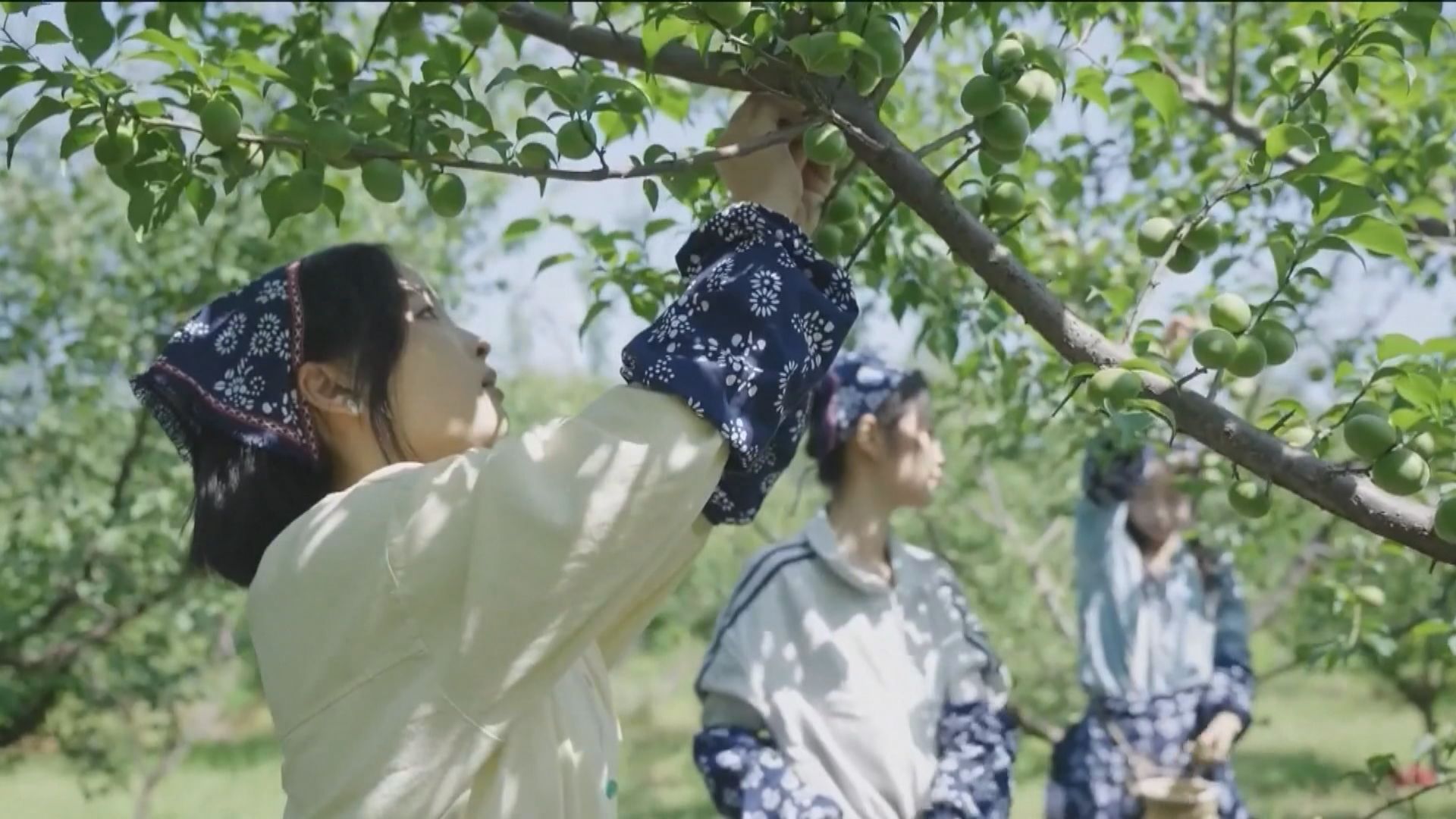 全國兩會｜持續推進農村改革發展　防止規模性「返貧」