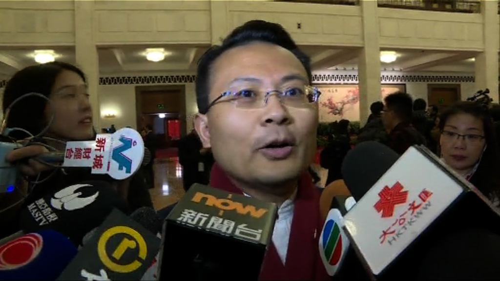 陳勇：各人大代表投票都出於個人意願