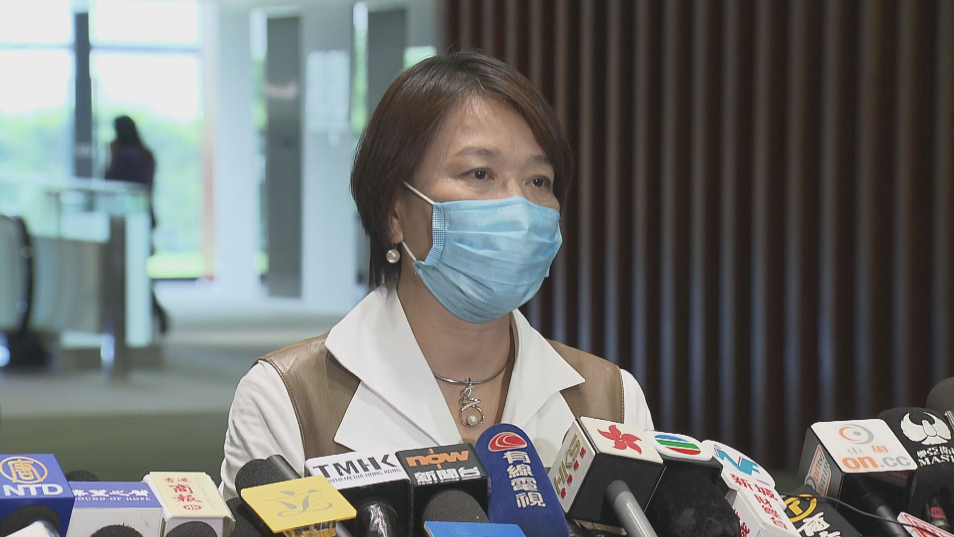 梁美芬：民主派聲稱要癱瘓香港　明顯違反基本法