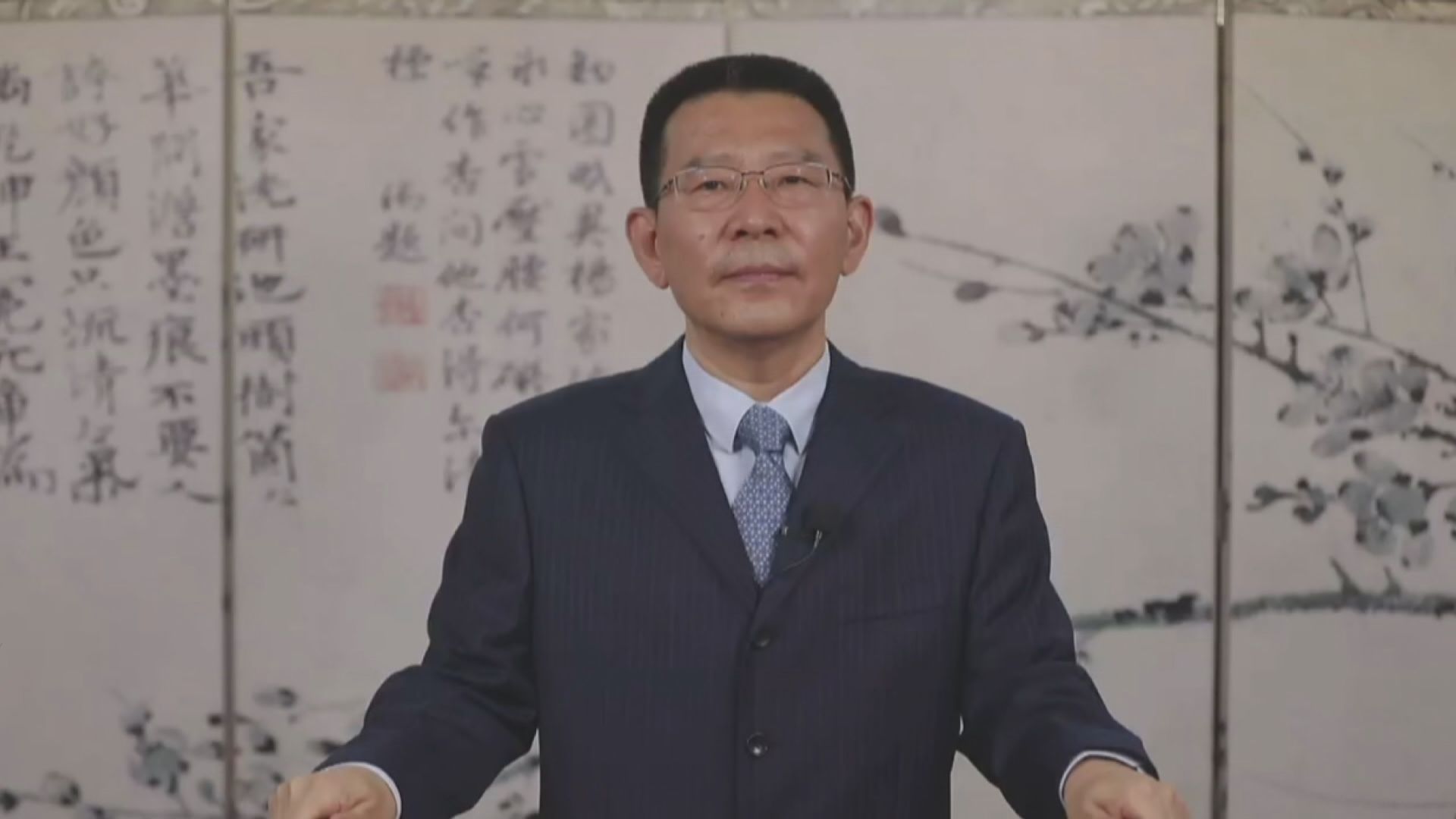 王靈桂：香港國安法是居民權利與自由的守護神