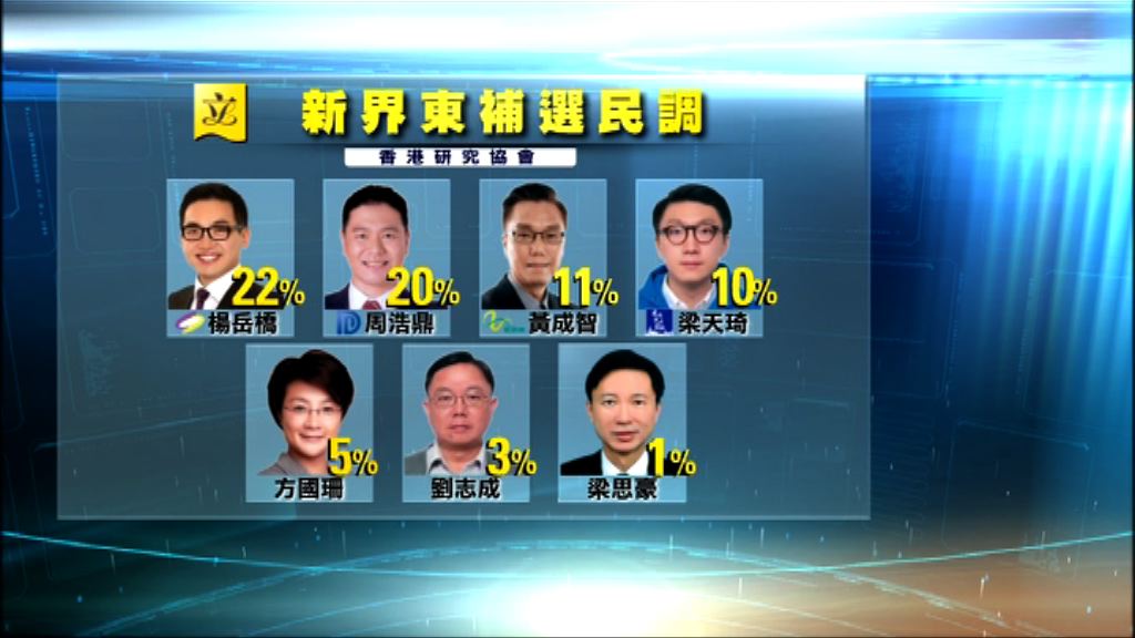 新界東補選民調　楊岳橋周浩鼎支持度相若