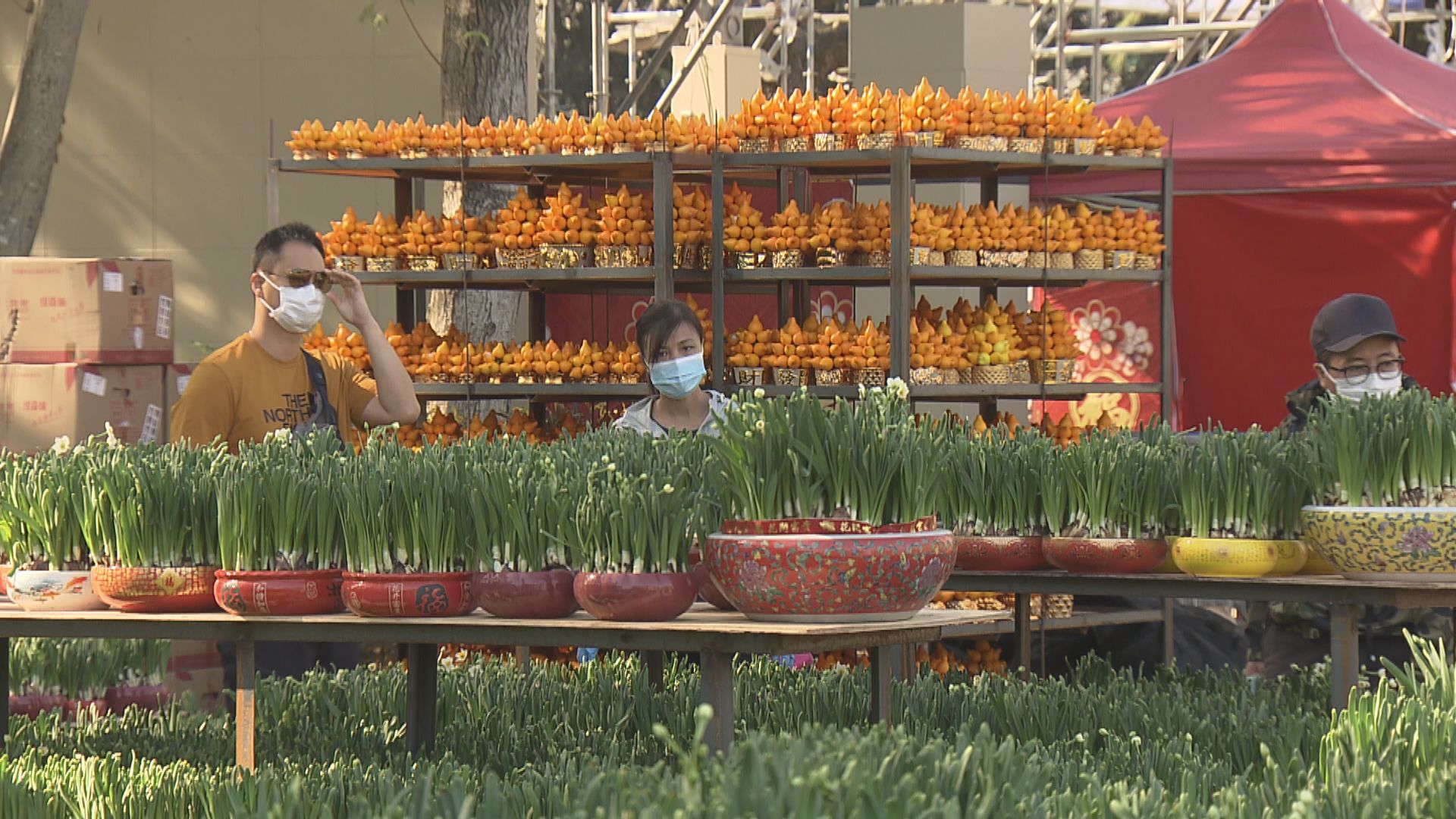 維園年宵市場攤位競投　有檔主預期生意額達100萬元