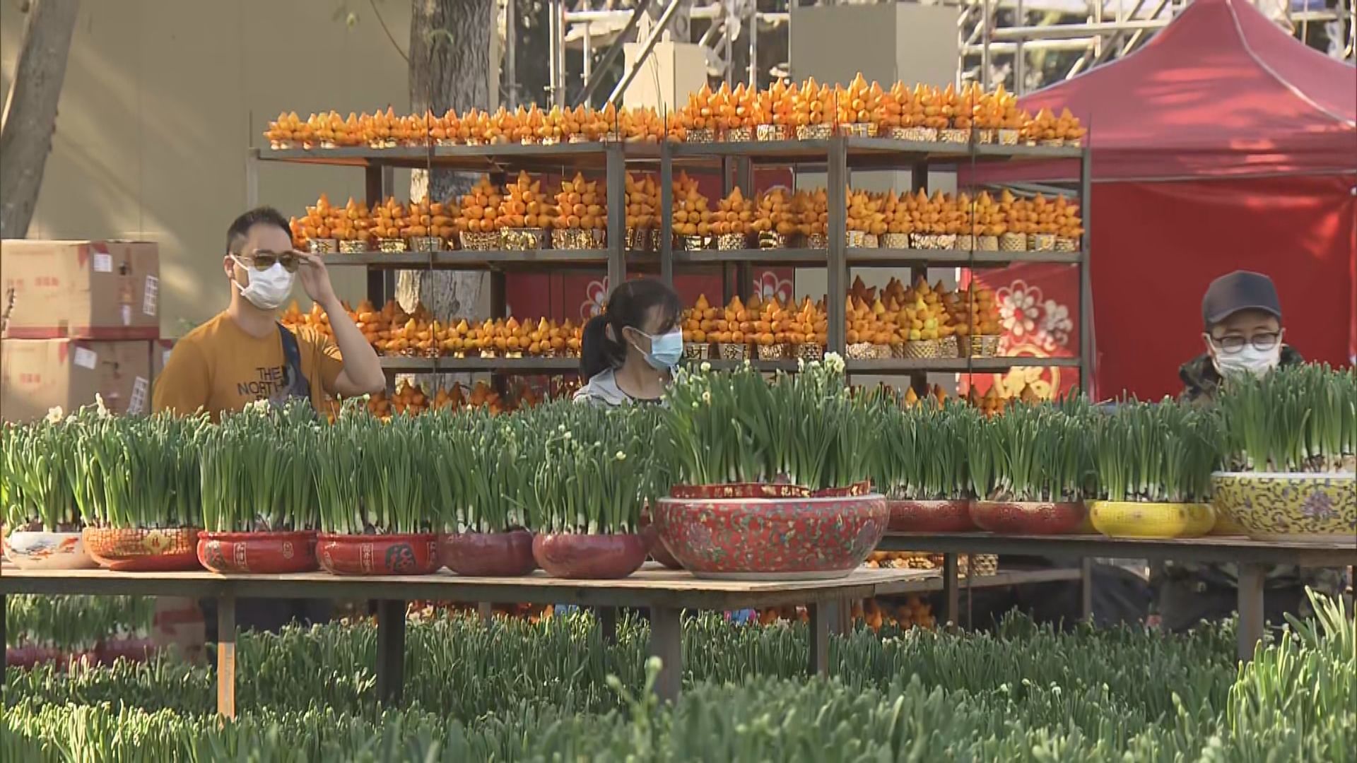 維園年宵今起開放　若人數超出限額要取籌入場