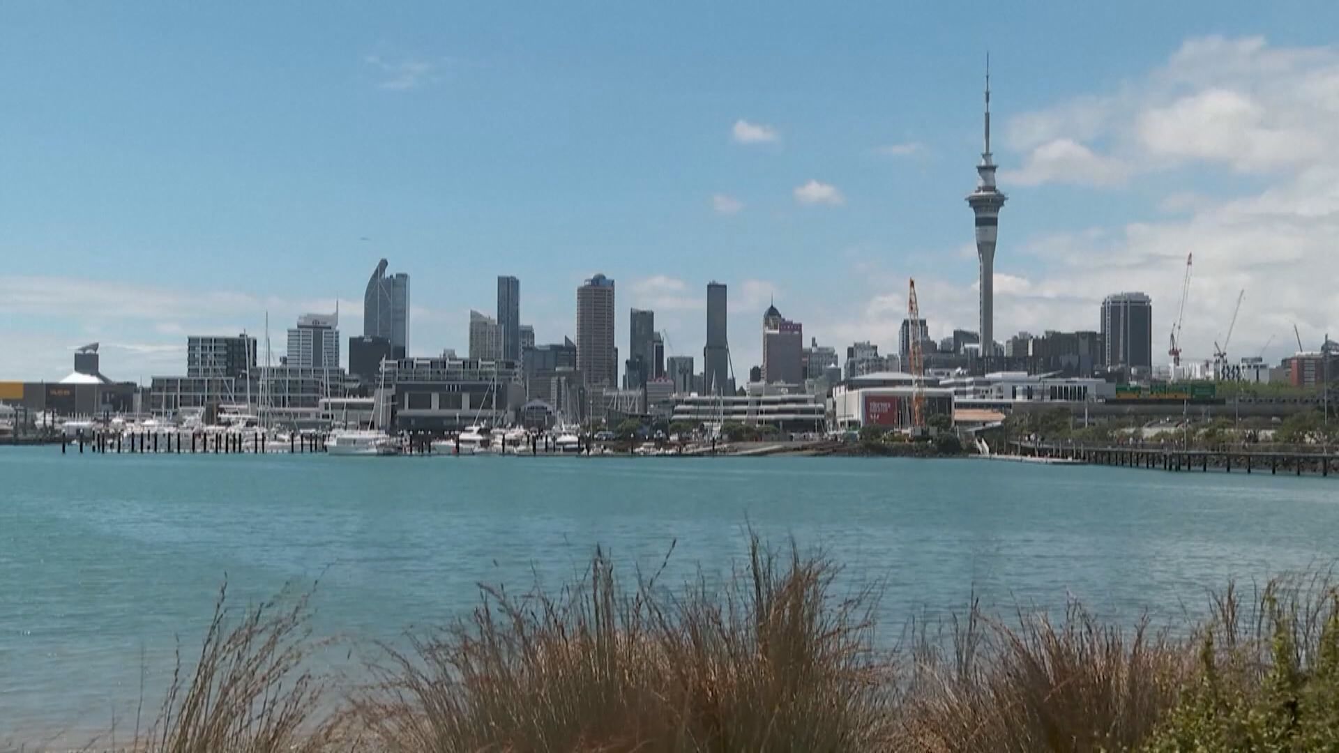 新西蘭宣布允許旅客一邊旅遊一邊遙距工作　冀振興旅遊業及經濟