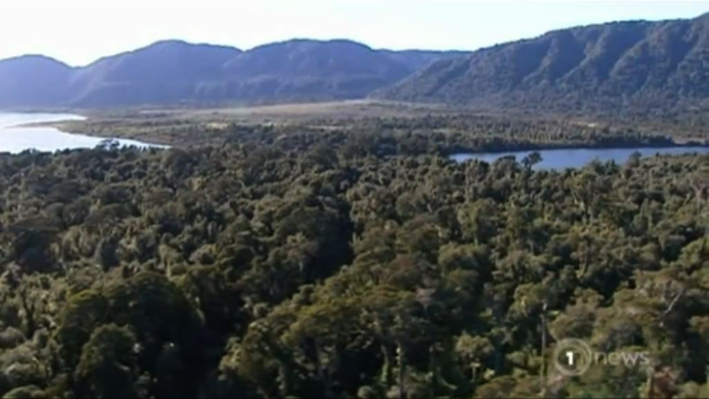 科學家望確認西蘭大陸為第八大洲