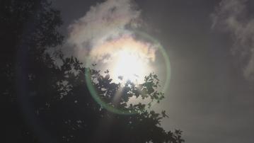 天文台下午一度錄得最高34.4度 破今年最熱紀錄