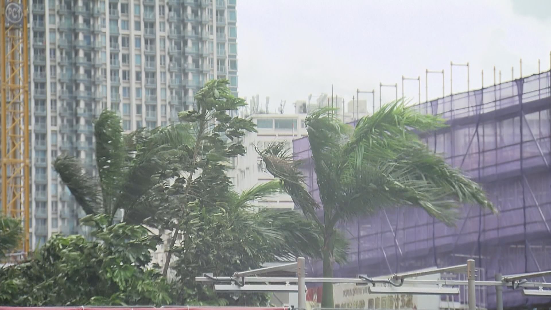 三號強風信號生效　預計下午五時前維持