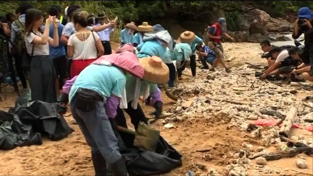 當局派員南丫島清理棕櫚硬脂