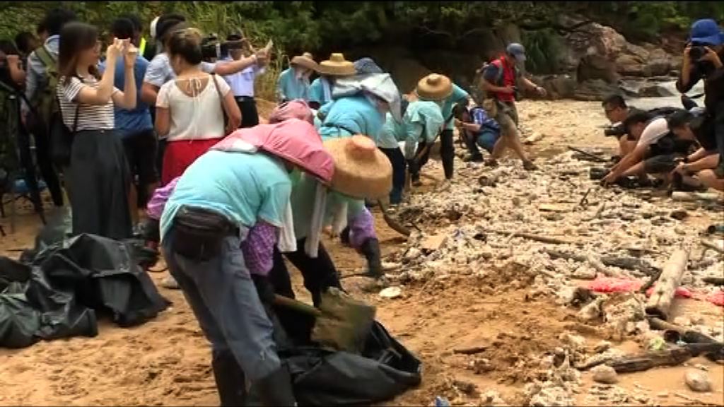 棕櫚硬脂污染　環境局指內地通報並無延誤