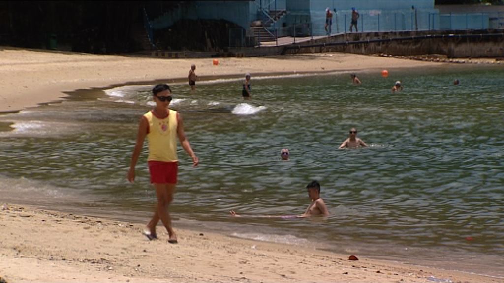 五個受棕櫚硬脂影響泳灘重開