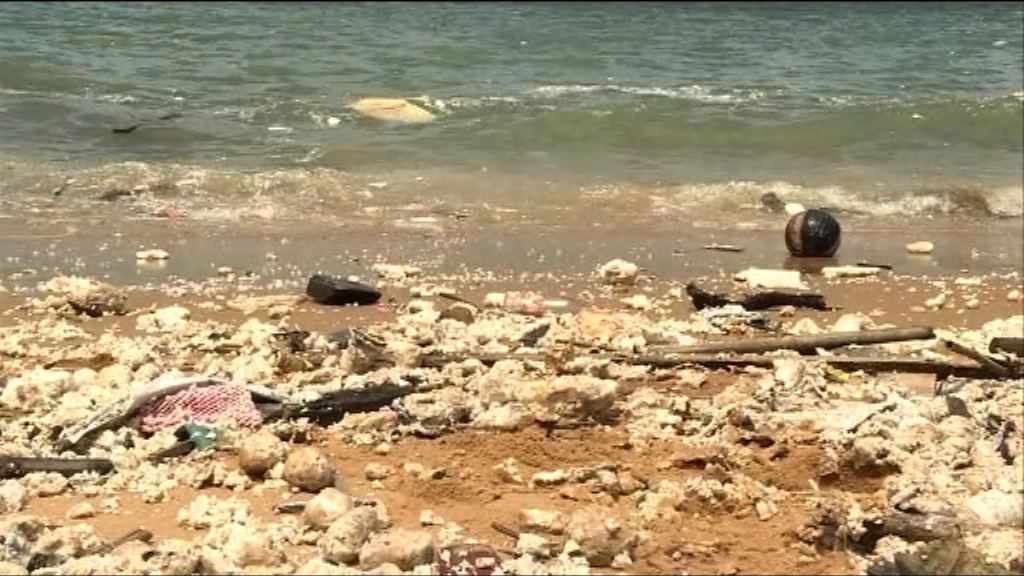 政府考慮向洩漏棕櫚硬脂船公司索償