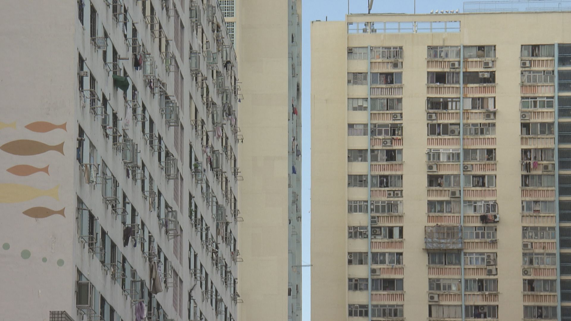 申訴署主動調查房委會及房協打擊濫用公屋工作