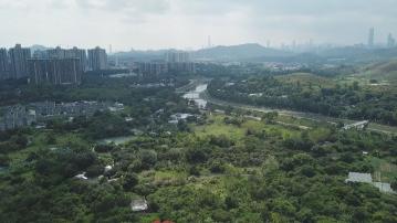 申訴專員指規劃署對重複違例發展土地個案做法欠阻嚇力