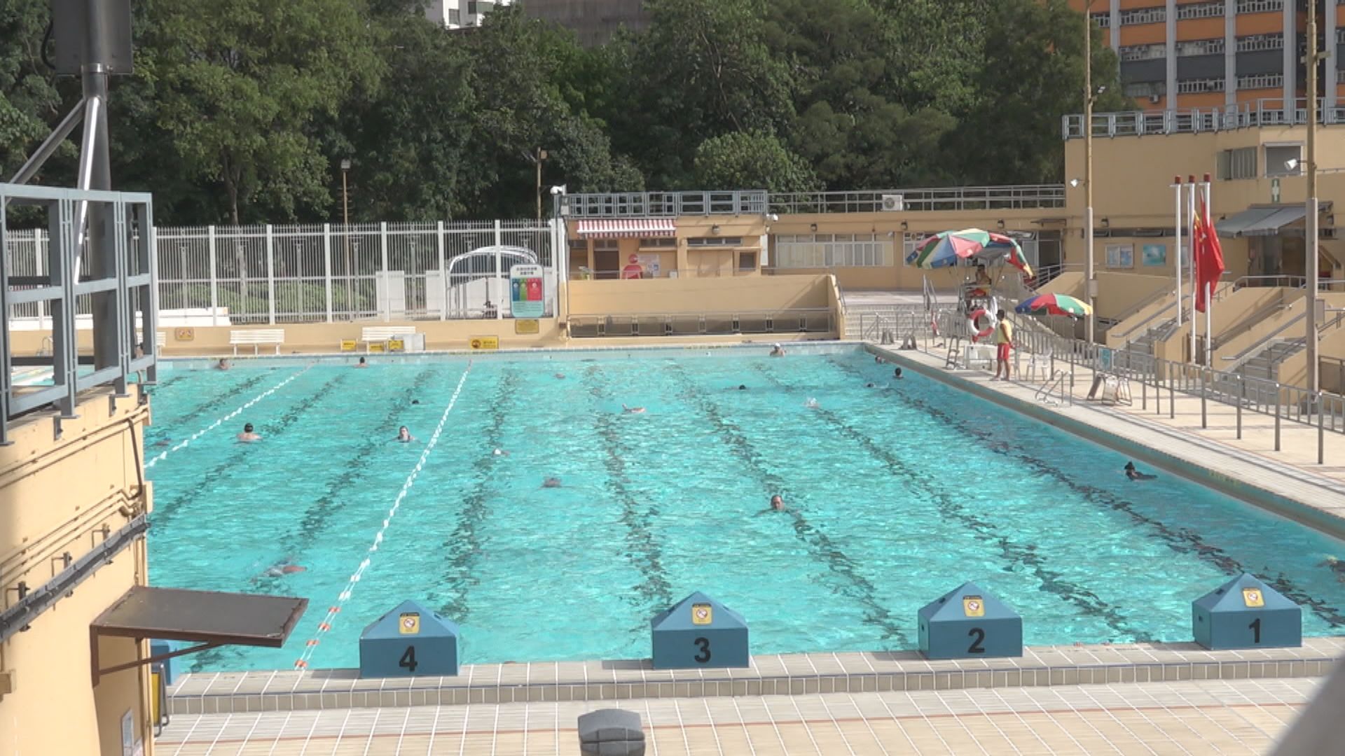 申訴專員：部分體育總會分配公眾泳池泳線機制不公