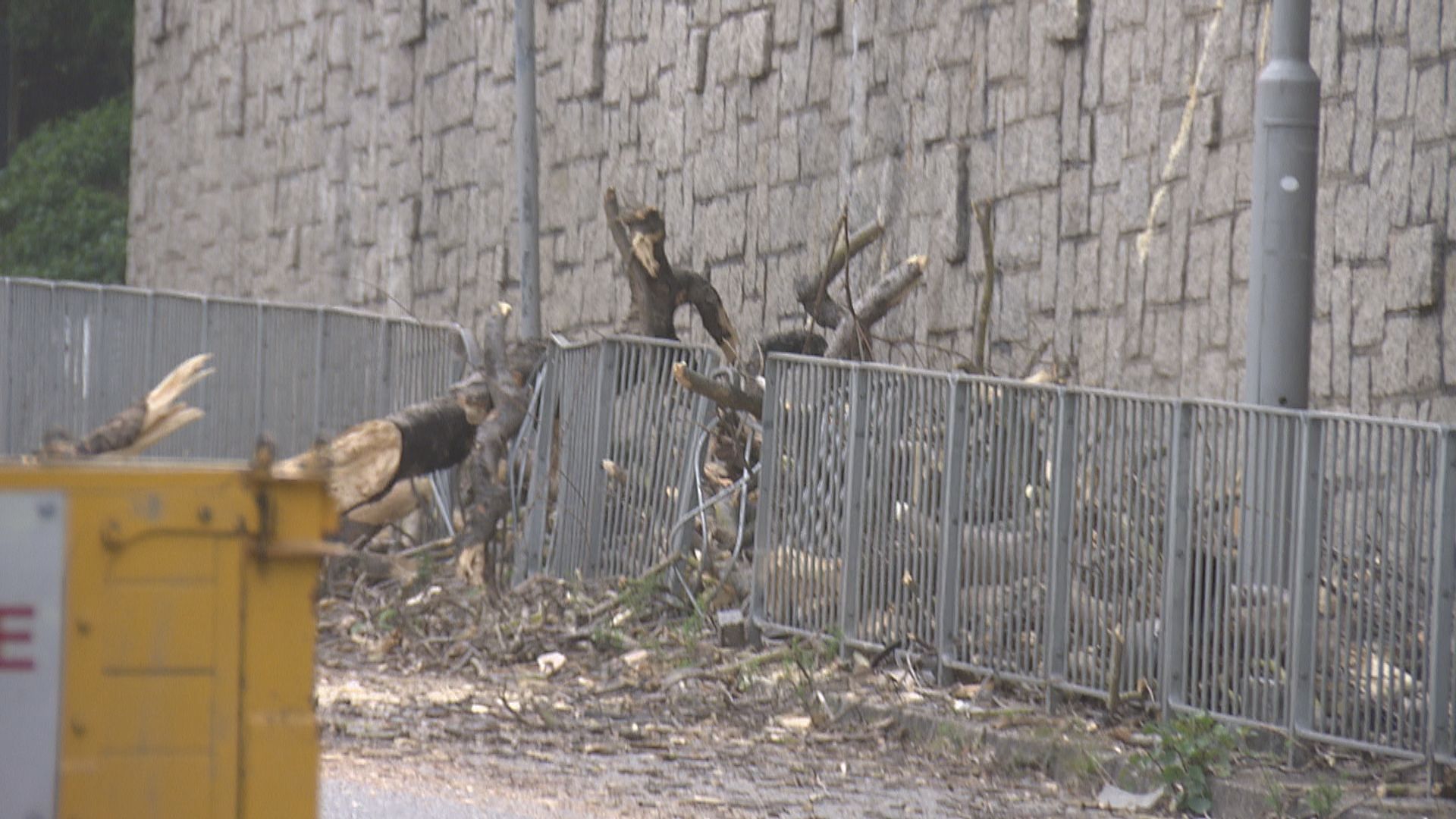 申訴專員公署：樹木辦應盡早介入投訴個案