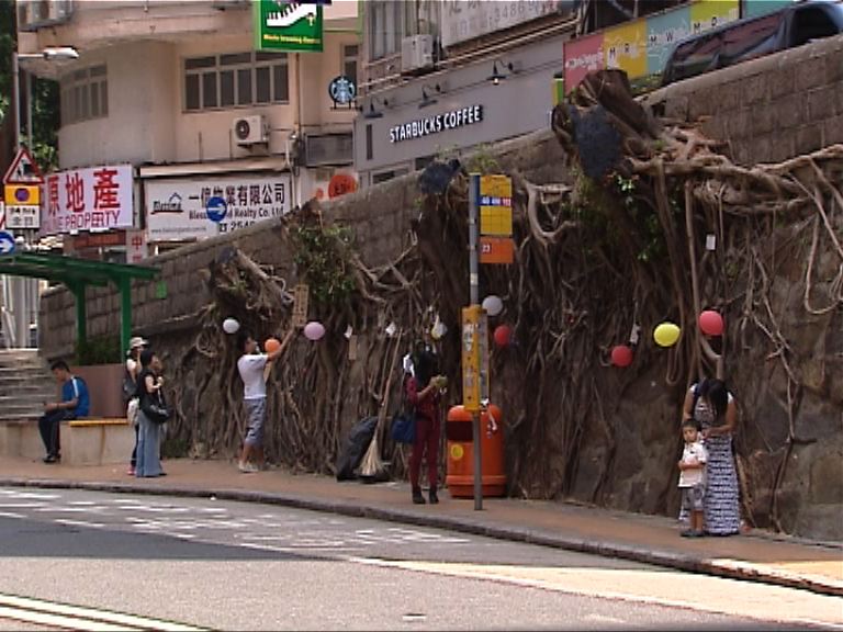 申訴專員主動調查般咸道四石牆樹被砍伐