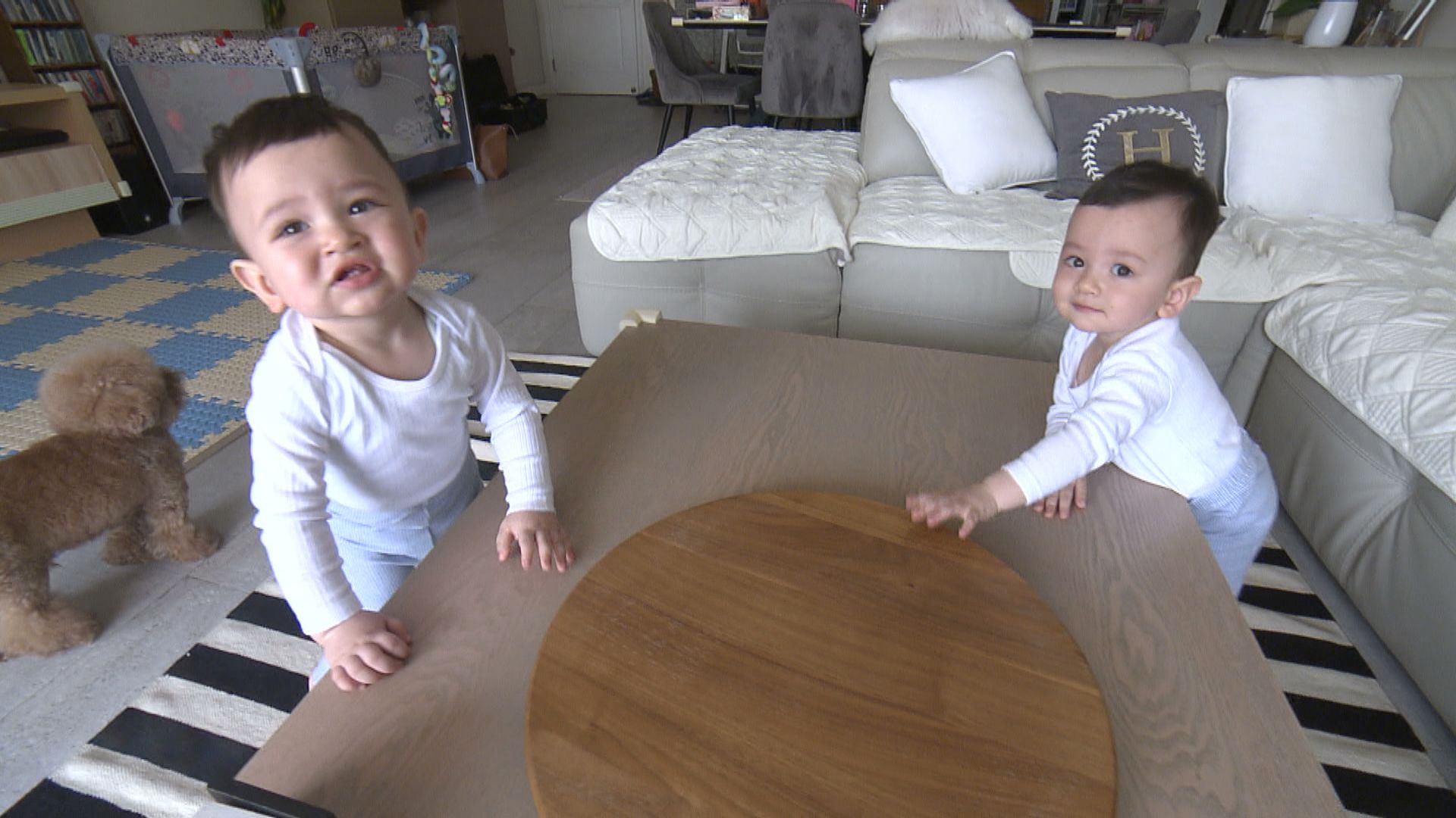 【杏林在線】「雙」重驚喜