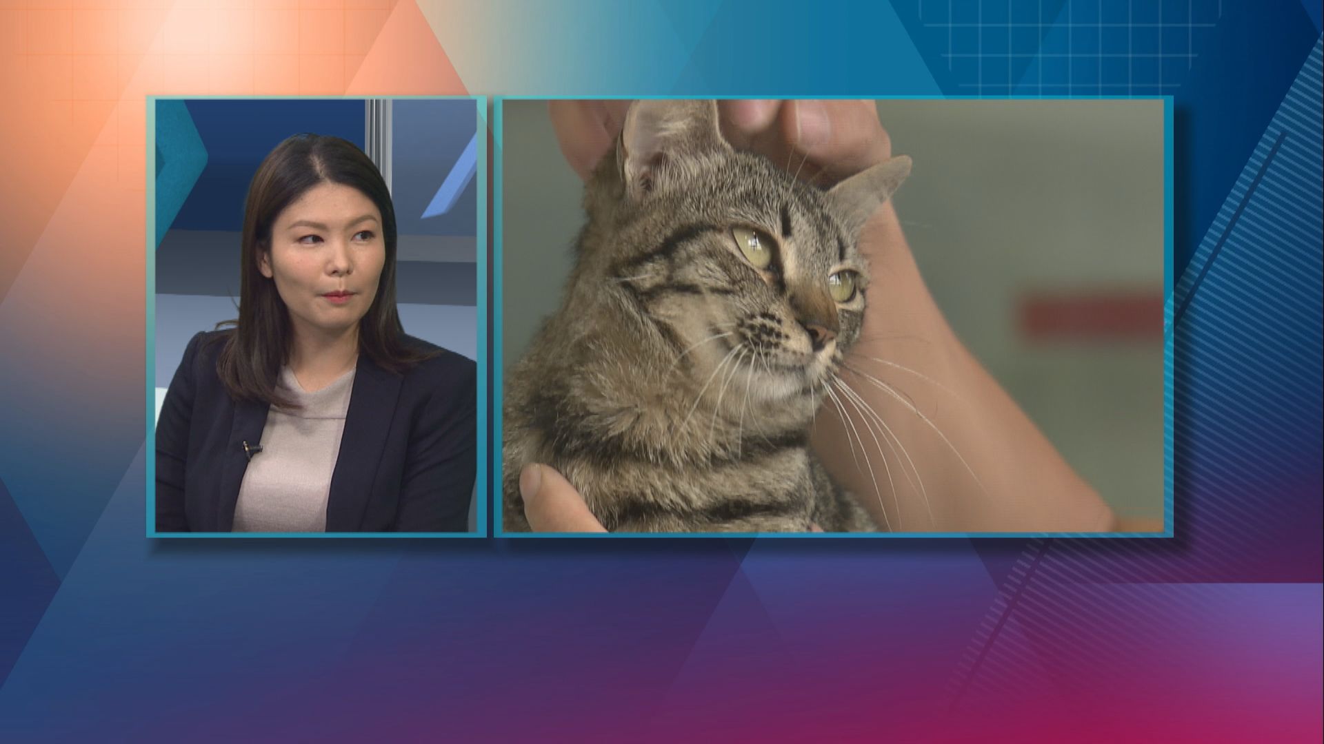 【杏林在線】與「毛孩」親親的危機