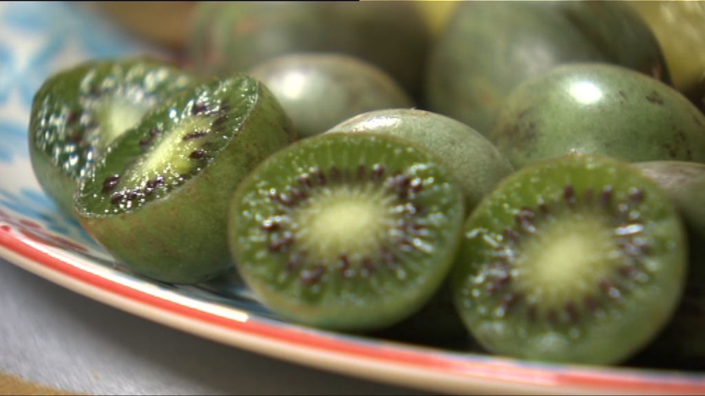 【杏林在線—健康1分鐘+】奇異家族