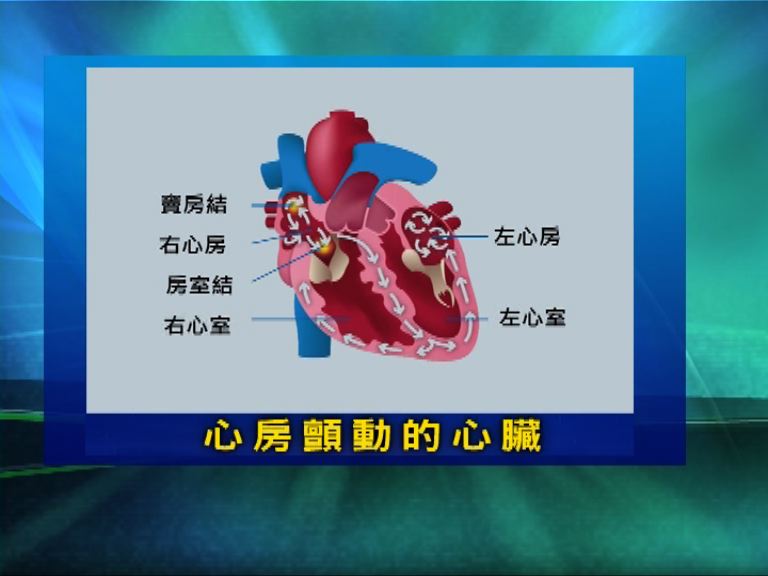 【杏林在線】心房顫動大型普查
