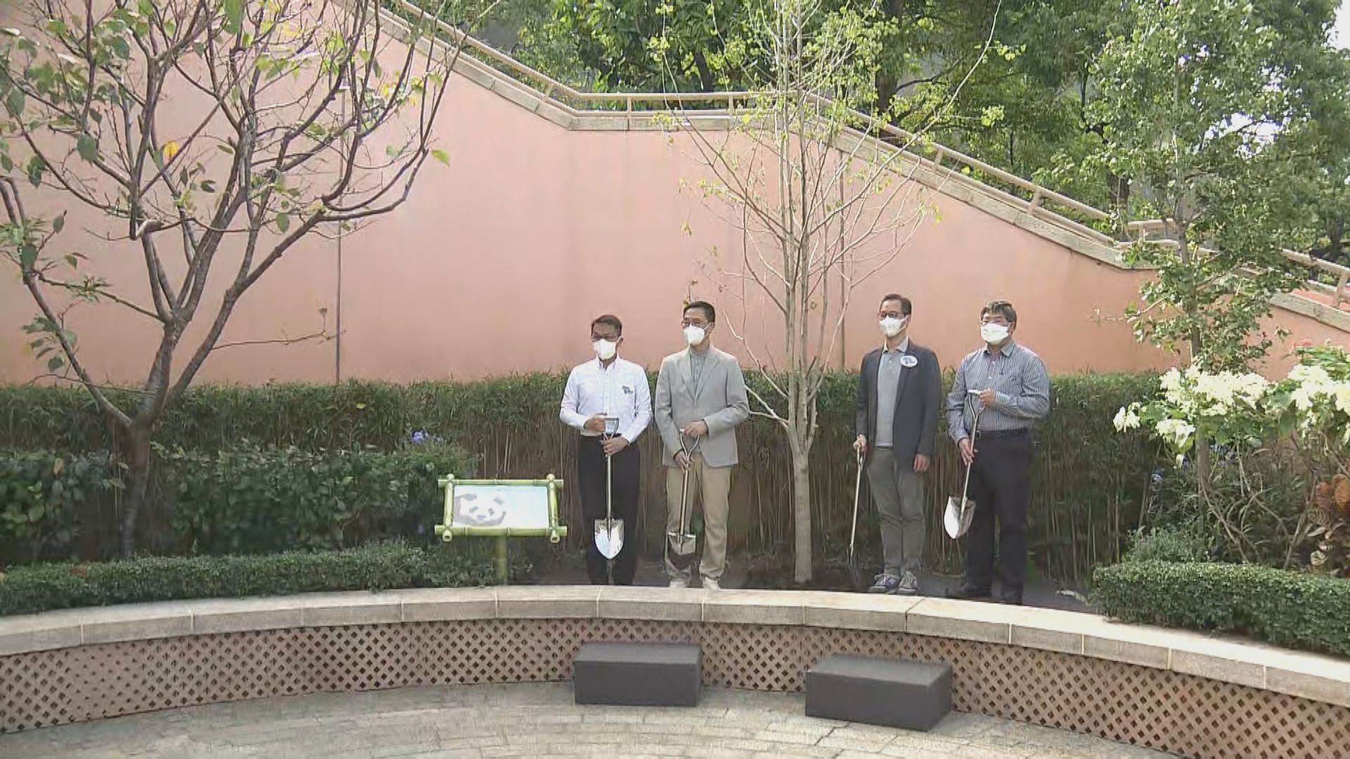 海洋公園為離世大熊貓安安舉行植樹儀式