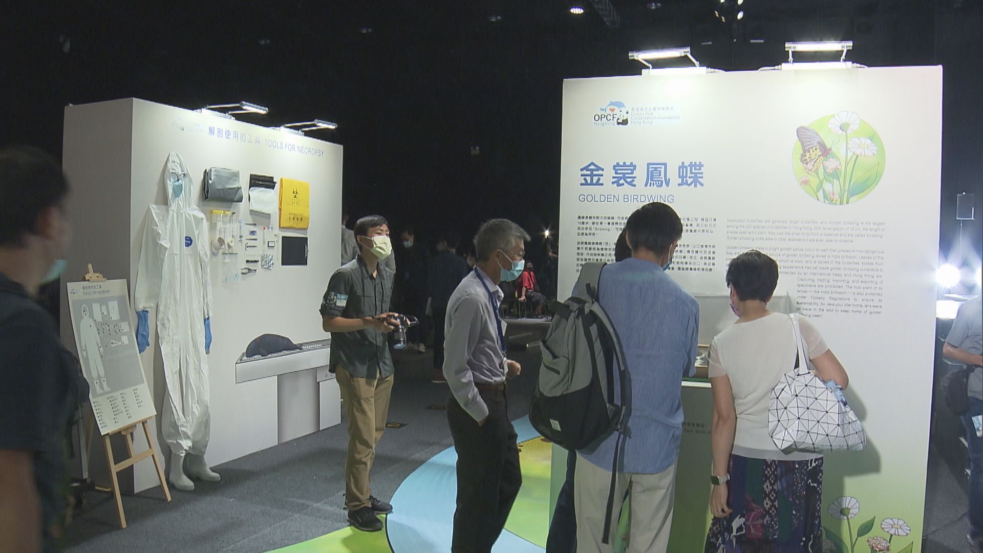 海洋公園本周末保育日　展出本地瀕危物種