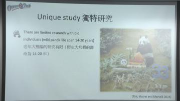 海洋公園公布大熊貓安安研究報告　有助評估動物健康狀況
