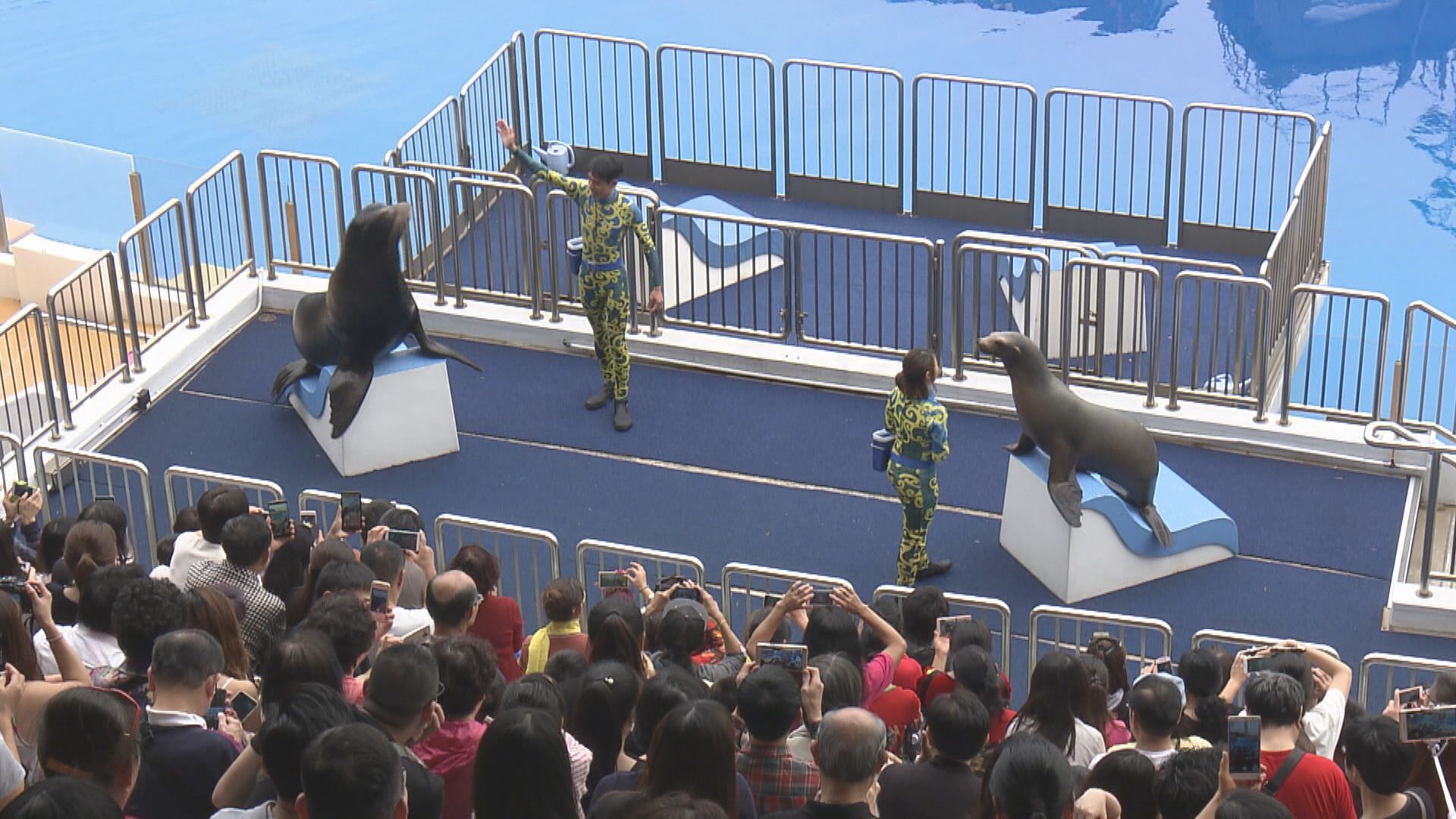 海洋公園推新套票配合高鐵通車