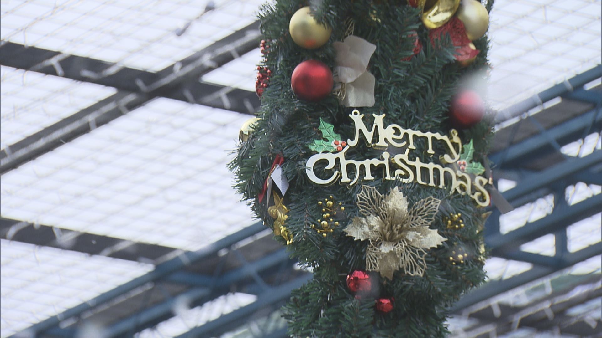 海洋公園聖誕推新收費　10元入場參觀歐陸聖誕市集