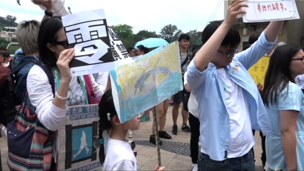 團體反對海洋公園圈養動物