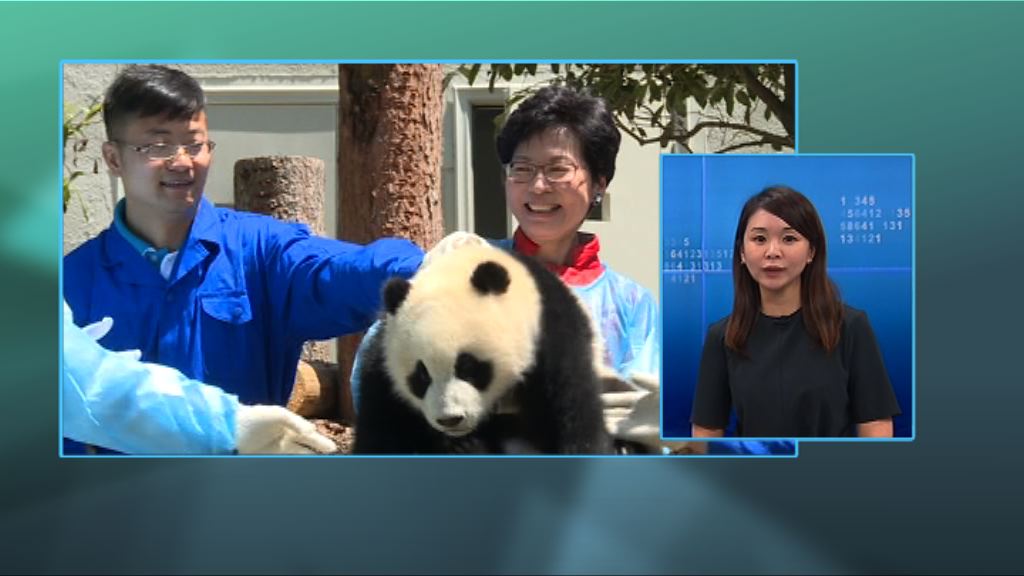 【政情】林鄭訪四川憂拒同行　泛民黑人問號