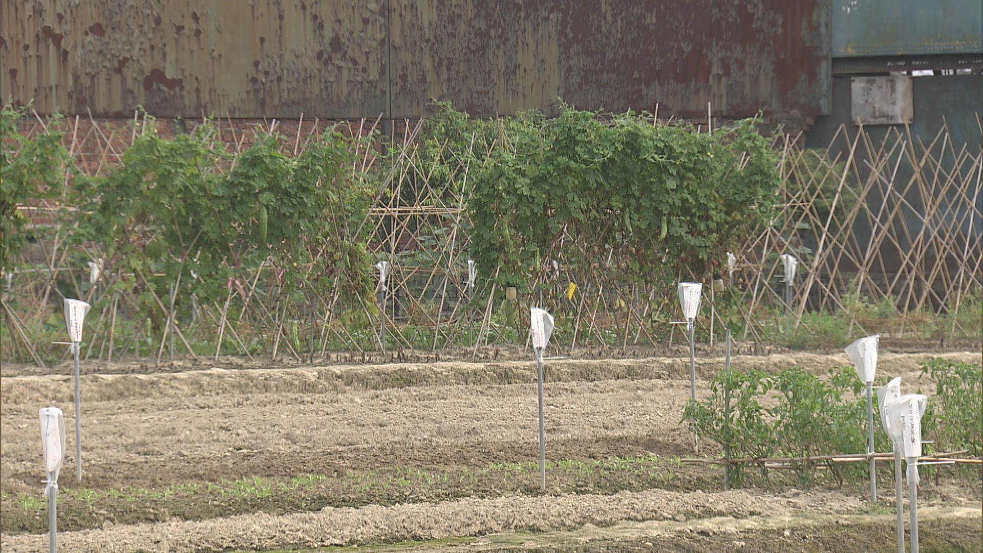 【施政報告】精簡程序提速造地 擴大標準化補地價安排