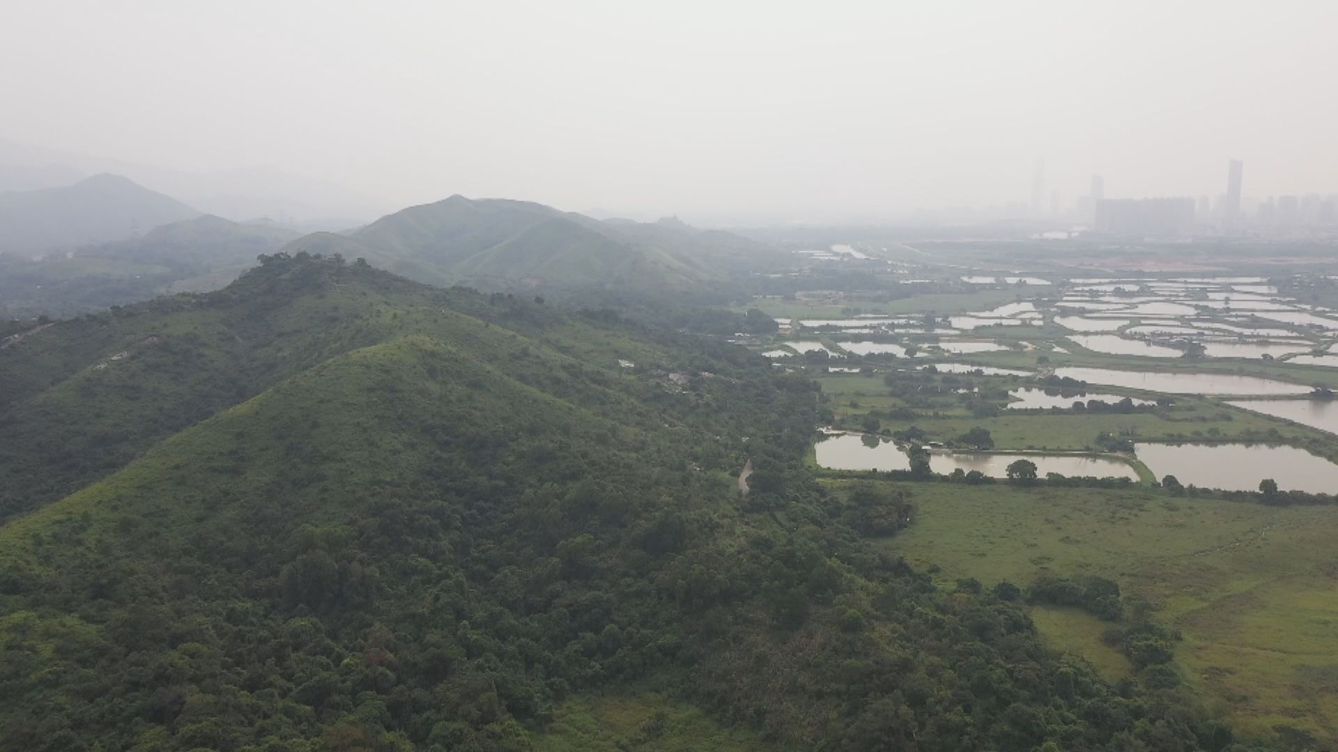 施政報告料談新界北發展　劉國勳倡濕地緩衝區建屋